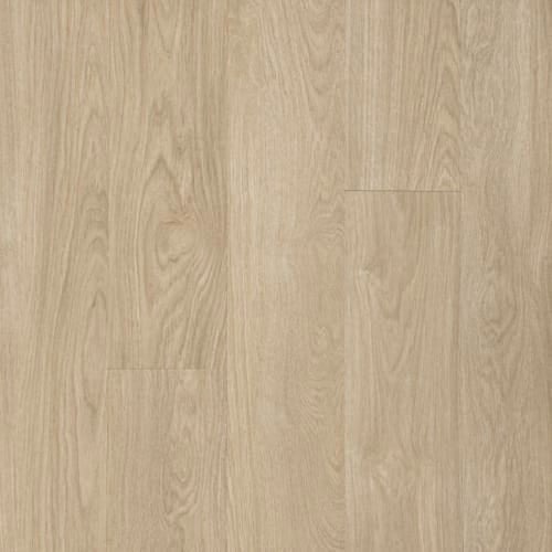 Footpath 20 Db in Biloba Wood