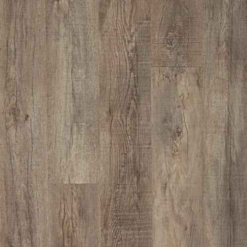 Footpath 20 Db in Barnwood Wood