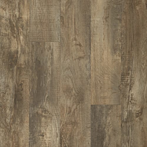 Footpath 20 Db in Autumn Gold Wood
