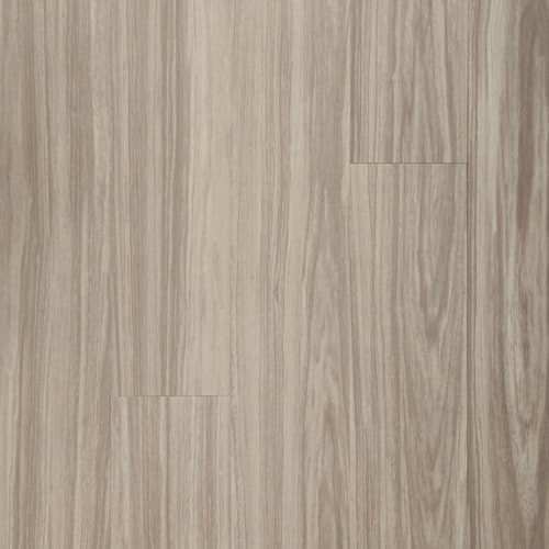 Footpath 20 Db in Burberry Wood