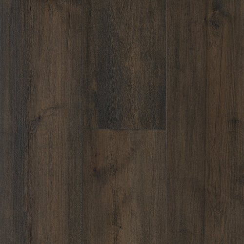 Allegra Maple in Refined Hardwood