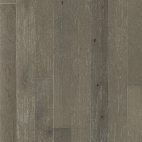 Ashling Betula in Infatuation