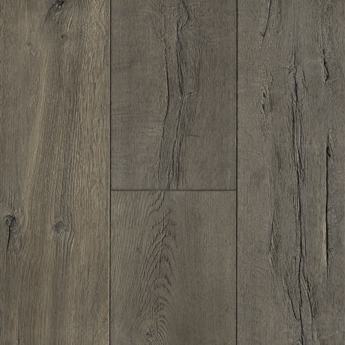 Anew Oak in Discerning