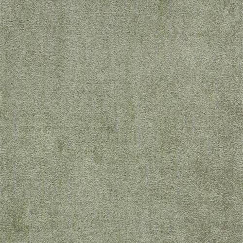 Azalea
in Olive Carpet