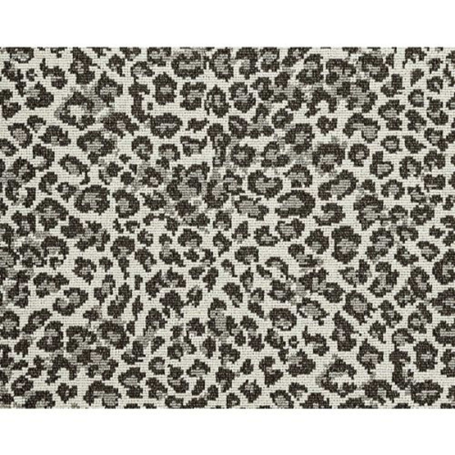 Wildlife in Pepper Carpet