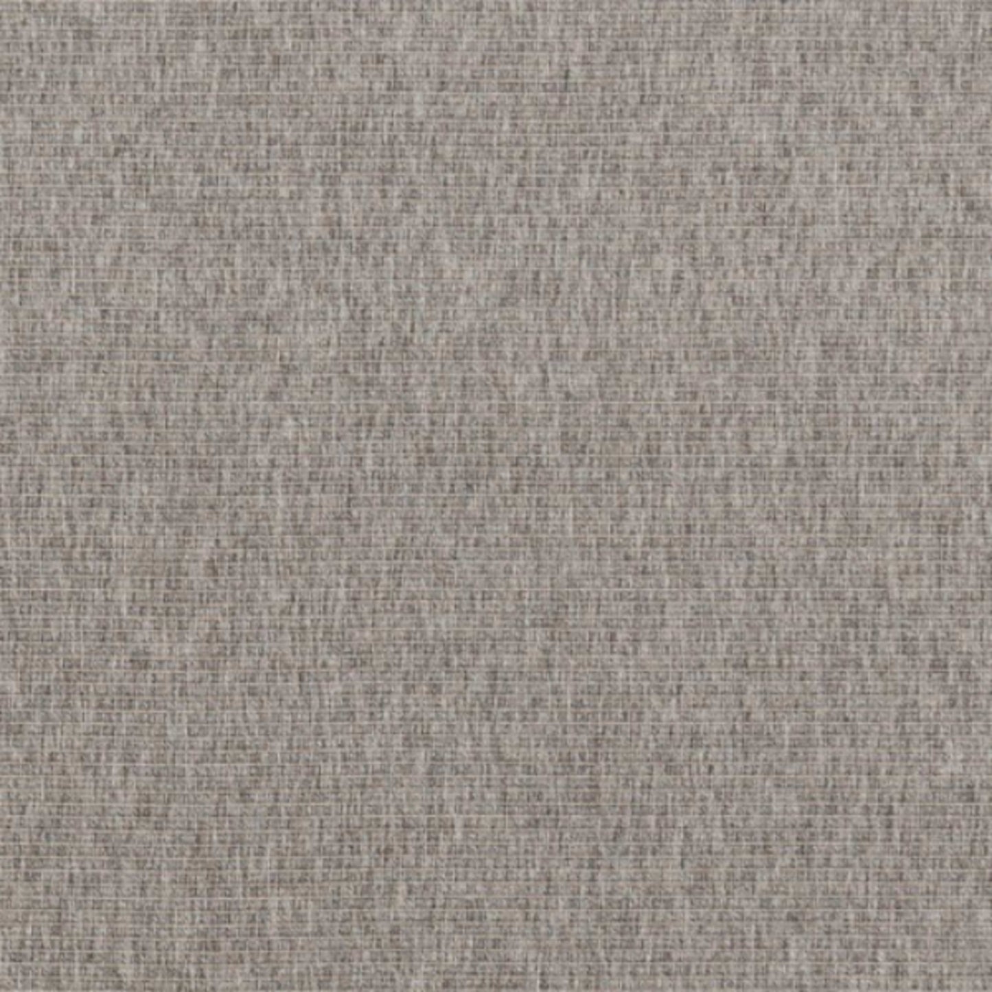 Rayna in Platinum Carpet