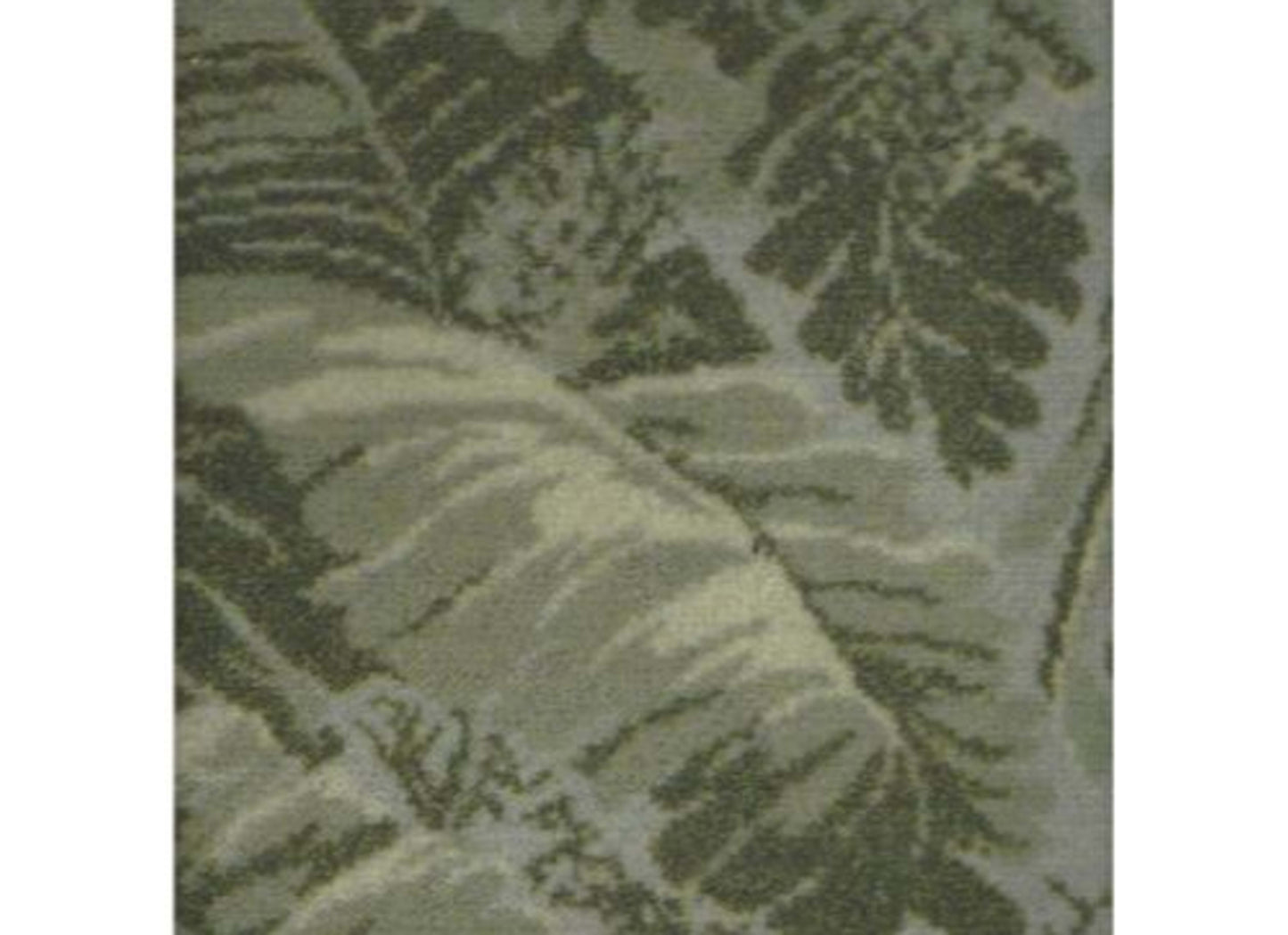 Printed Collection - Biltmore