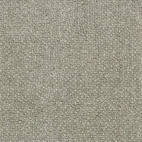 Breckenridge in Grey Carpet