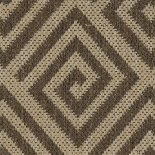 Big Kahuna in Desert Carpet