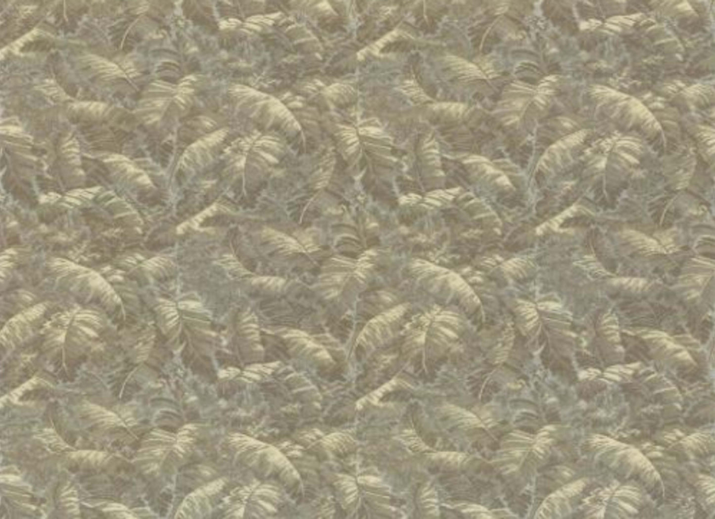 Printed Collection - Biltmore
