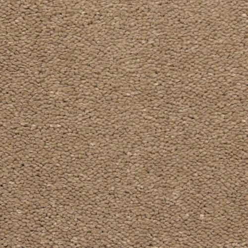 Bodega Bay in Equestrian Trail Carpet