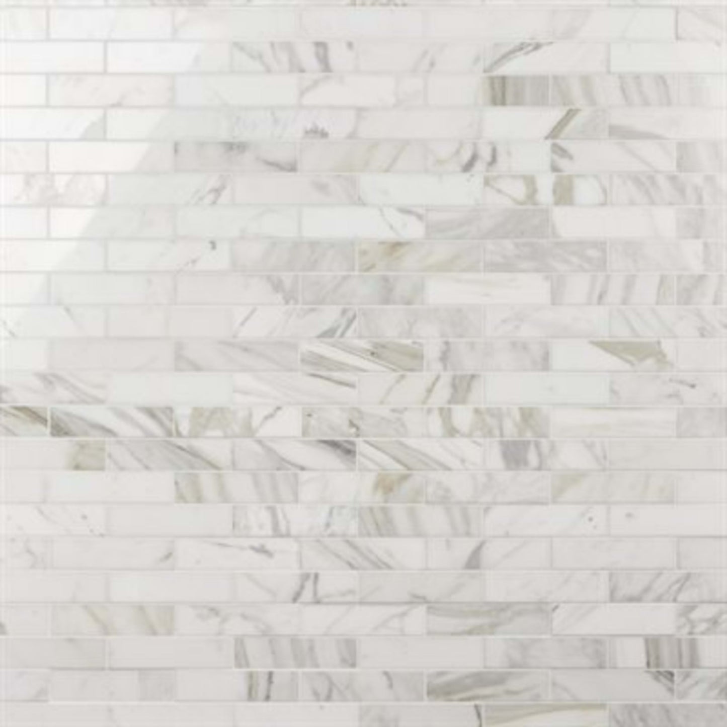 Calacatta in Close Out - Calacatta 2x4 Beveled