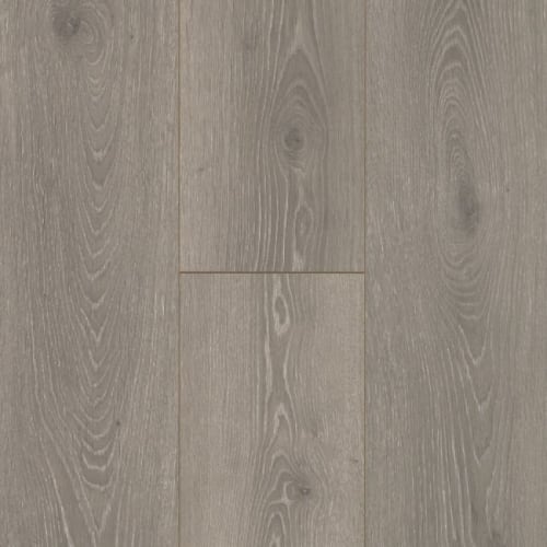 Boardwalk Collective in Graphite