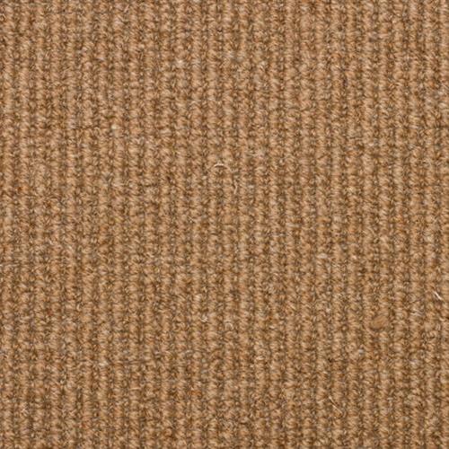 Softer Than Sisal in Canyon Carpet