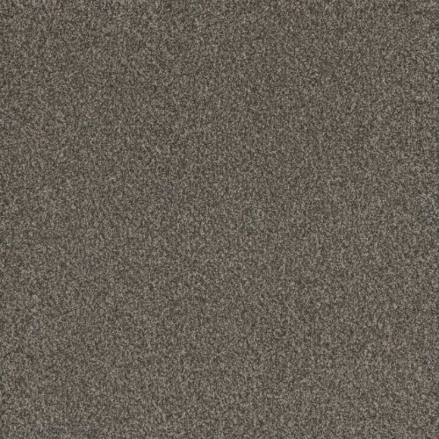 TITAN III in Castle Rock Carpet