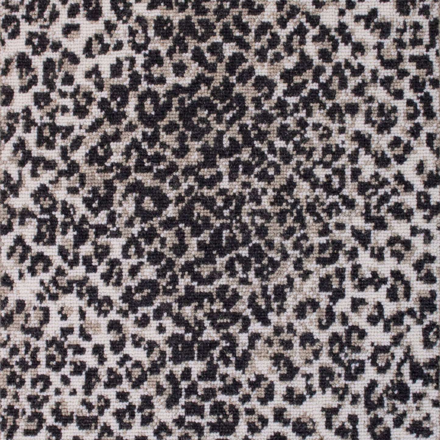 Wild n Wooly - Cheetah