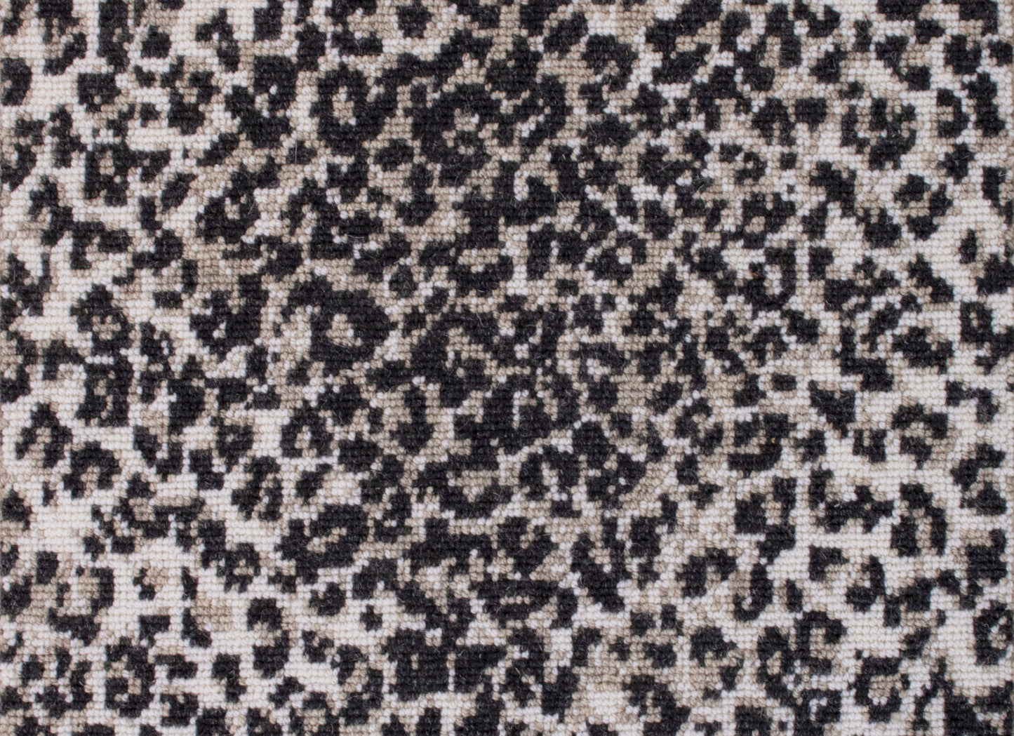 Wild n Wooly - Cheetah