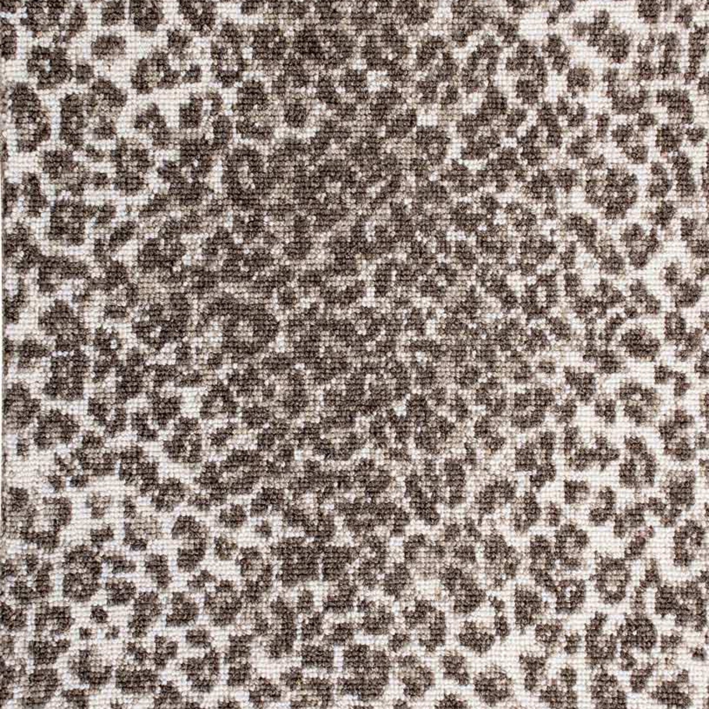 Wild n Wooly - Cheetah