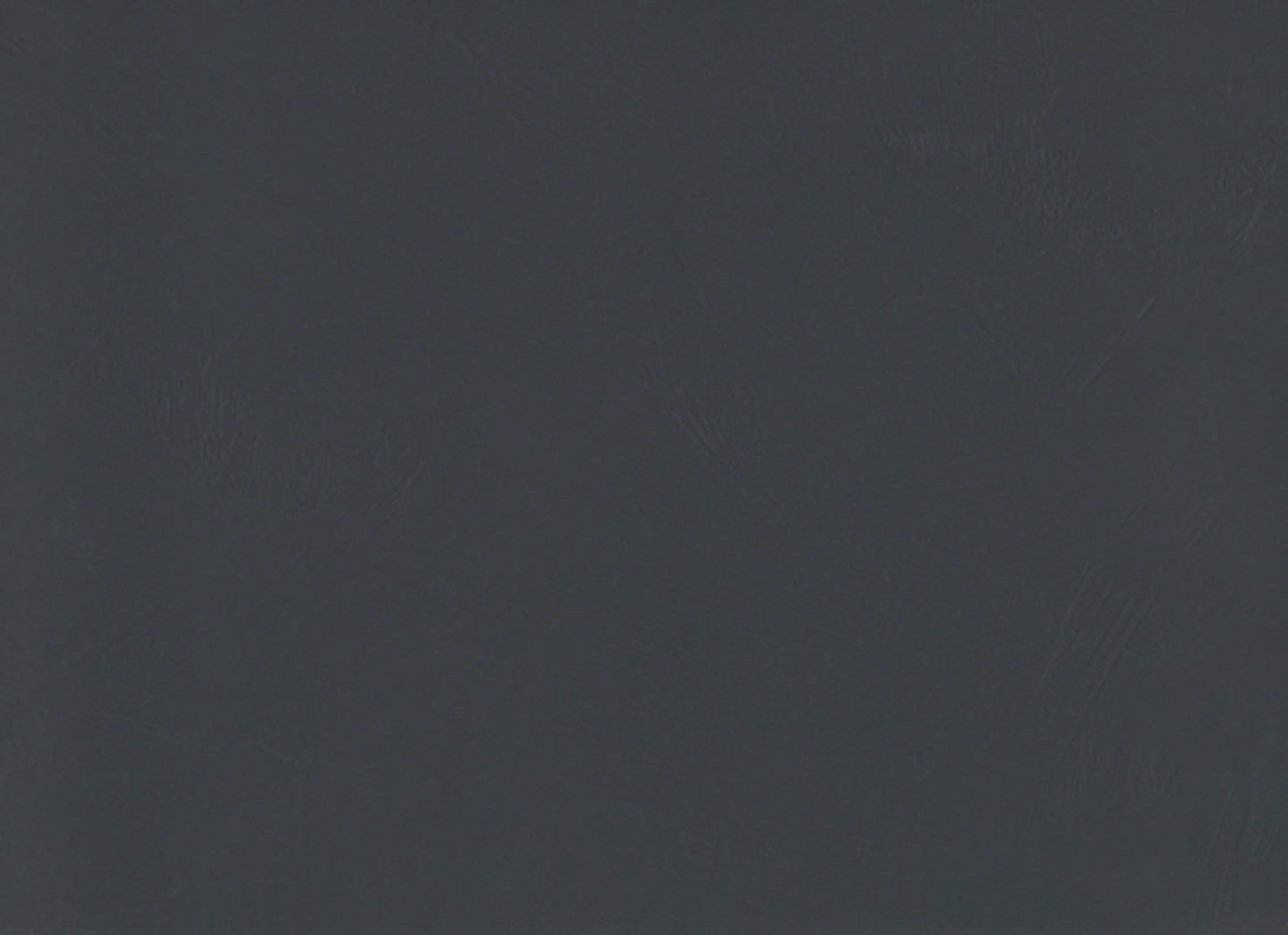 Council in Gray 12" X 24" Matte