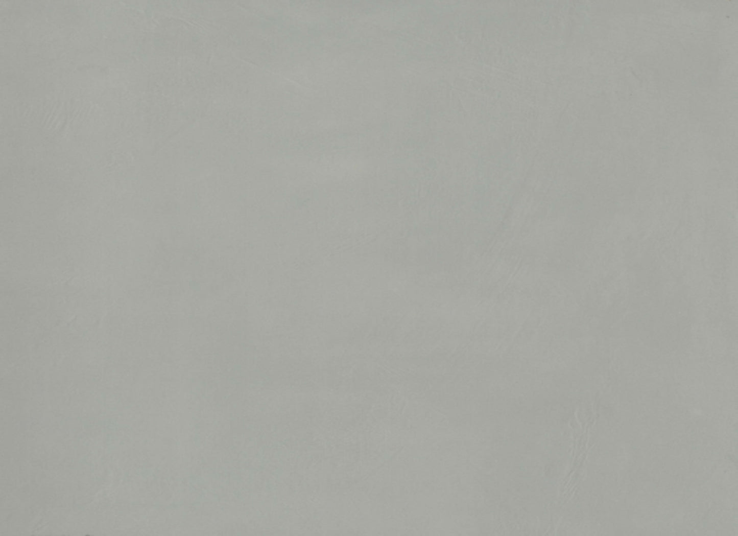 Council in Gray 12" X 24" Matte