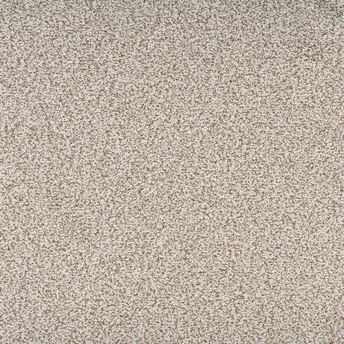 Suave in Exquisite Carpet