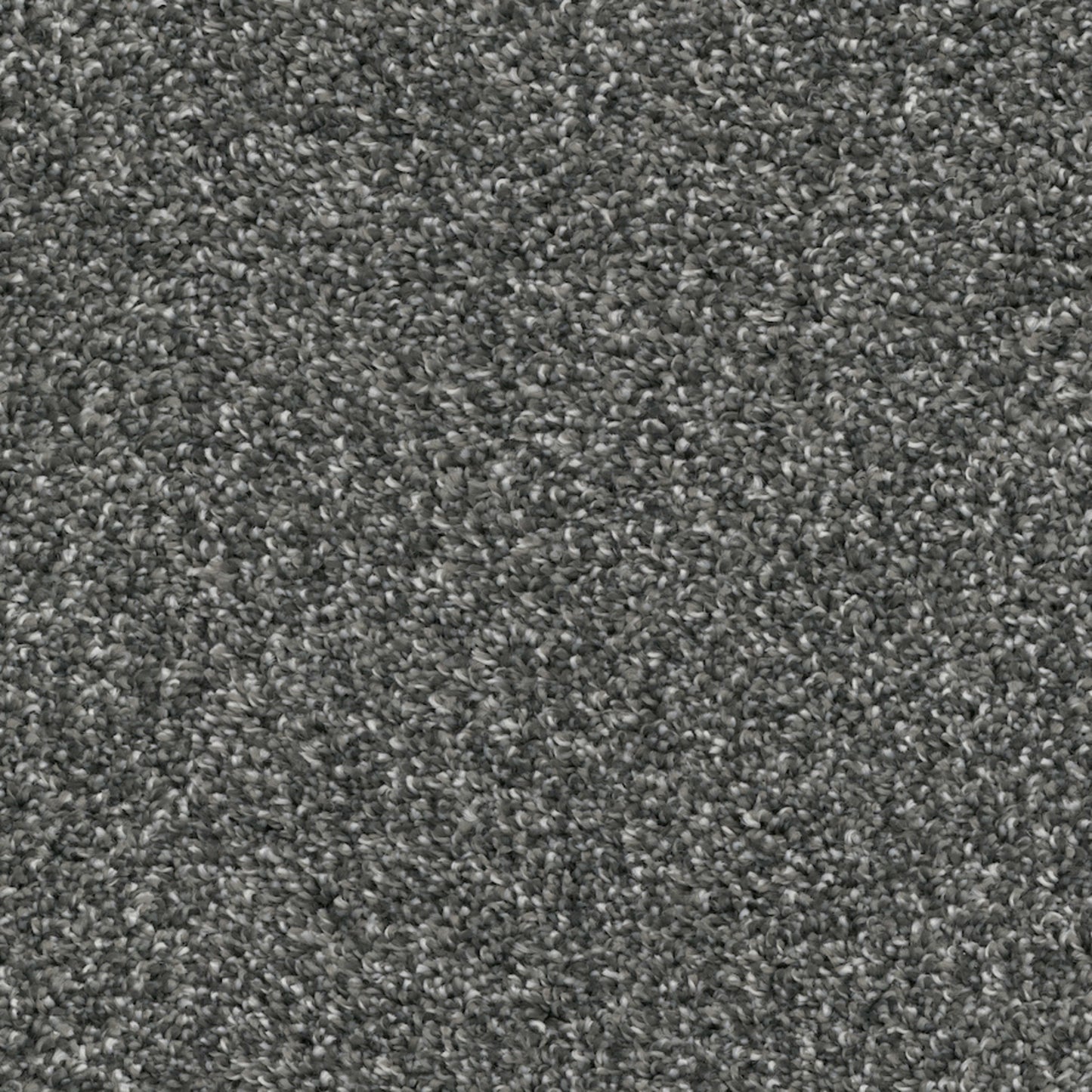 Tactics in Onyx Carpet
