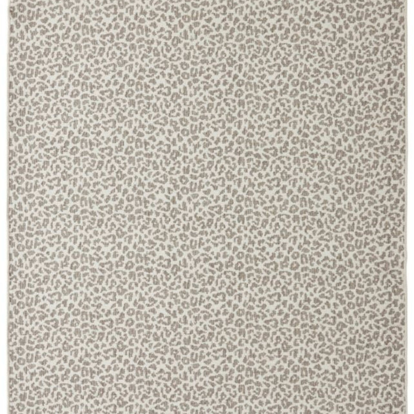 Leon in Stone Carpet