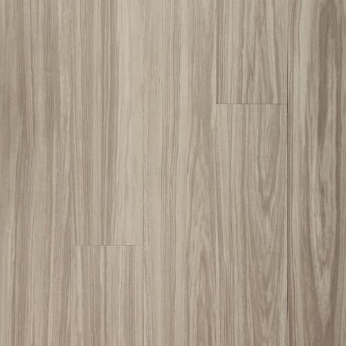 Dodford 20 Db in Fawn Brindle