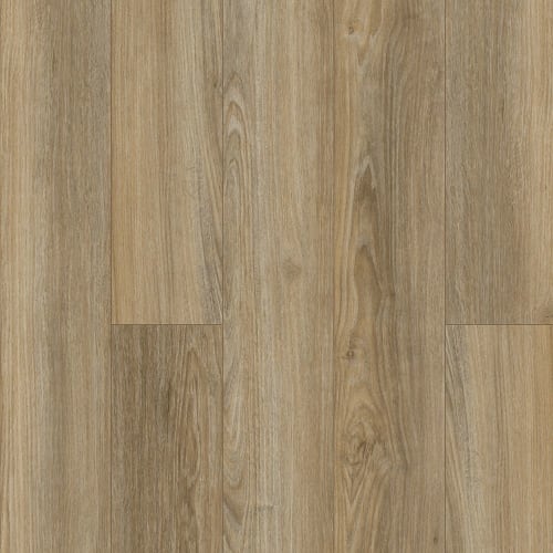 Discovery Ridge in Brushed Beige