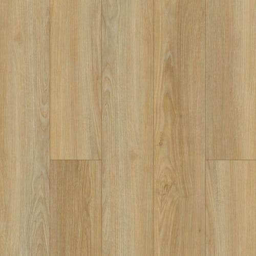 Discovery Ridge in Coffee House Tan