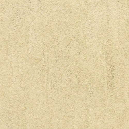 Desert Vista