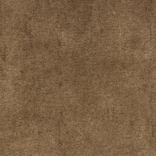 Desert Vista