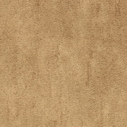 Desert Vista