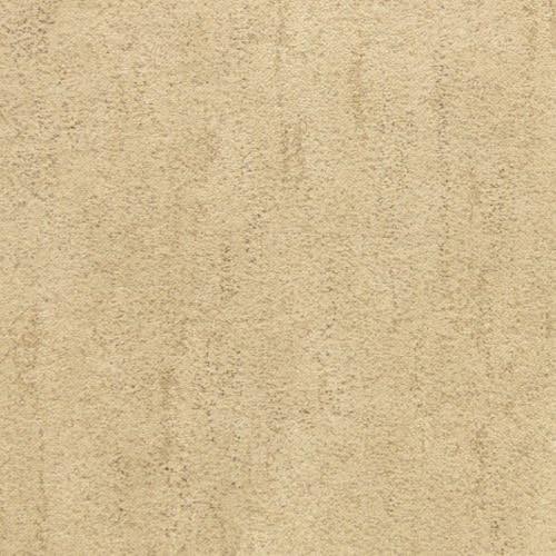 Desert Vista