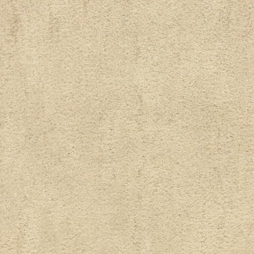 Desert Vista