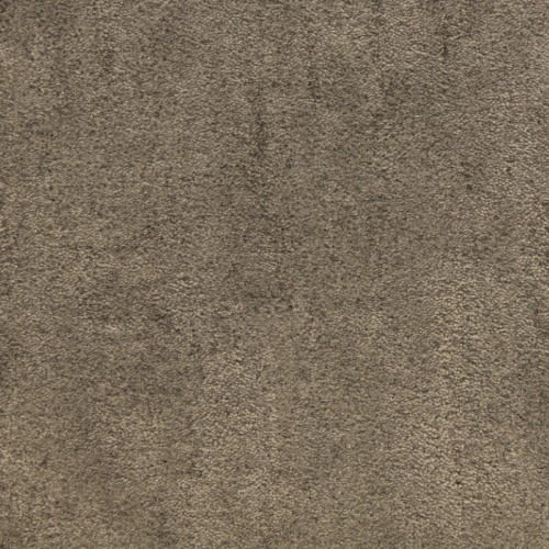 Desert Vista