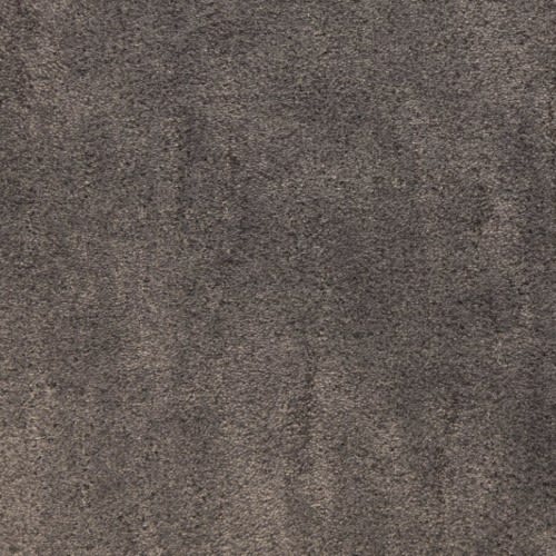 Desert Vista