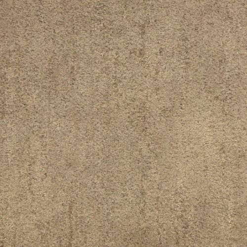 Desert Vista