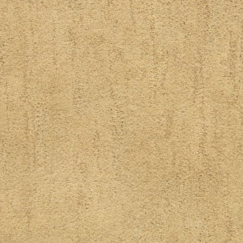 Desert Vista