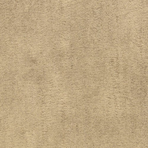Desert Vista