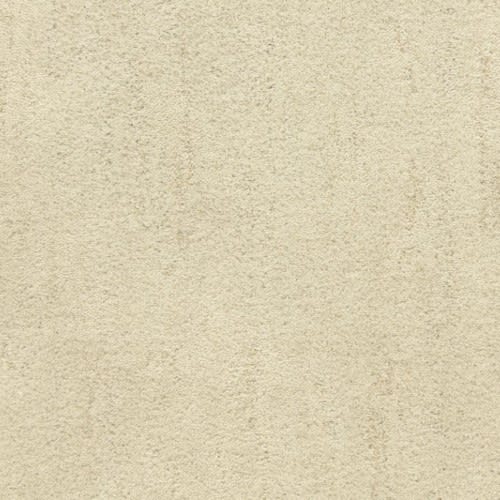 Desert Vista