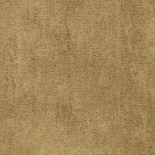 Desert Vista