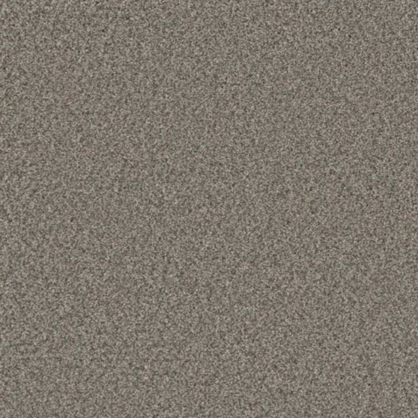ROYALE II in Dogwood Carpet