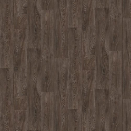 Wynn Point in Roasted Mocha