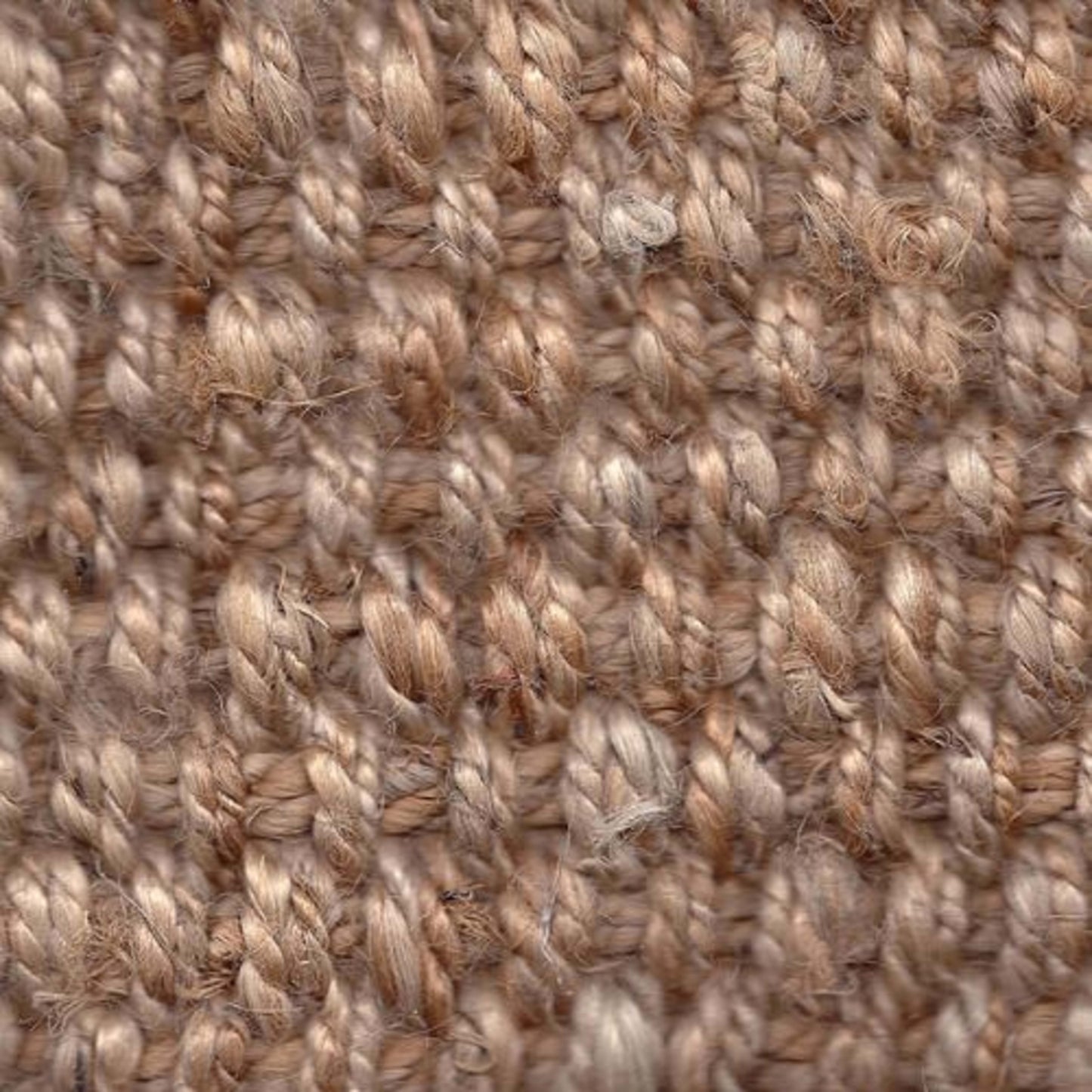 Palm/Natural Collection - Eastwind