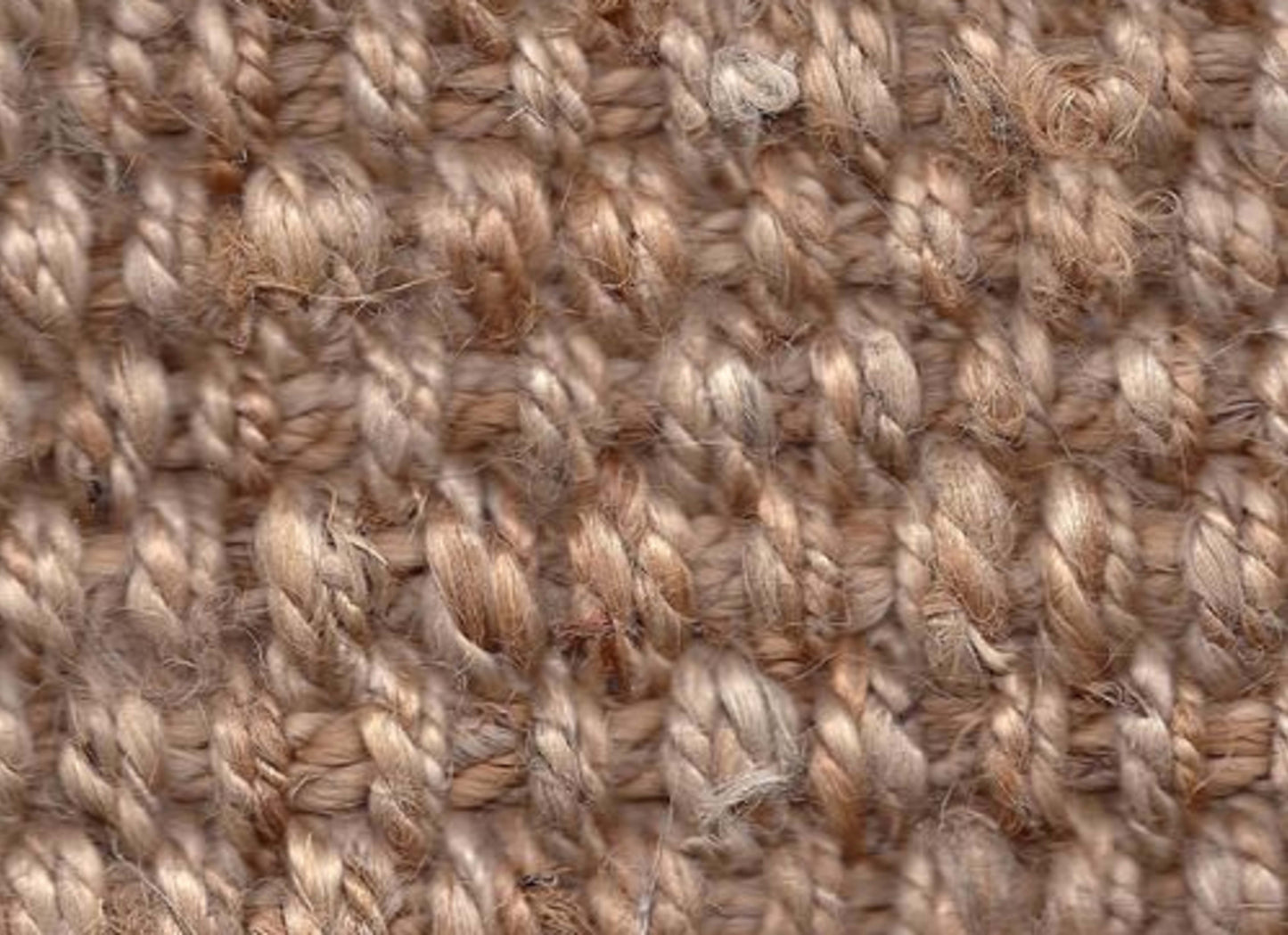 Palm/Natural Collection - Eastwind