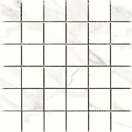 Contessa in Dama Chamfered - 12x24
