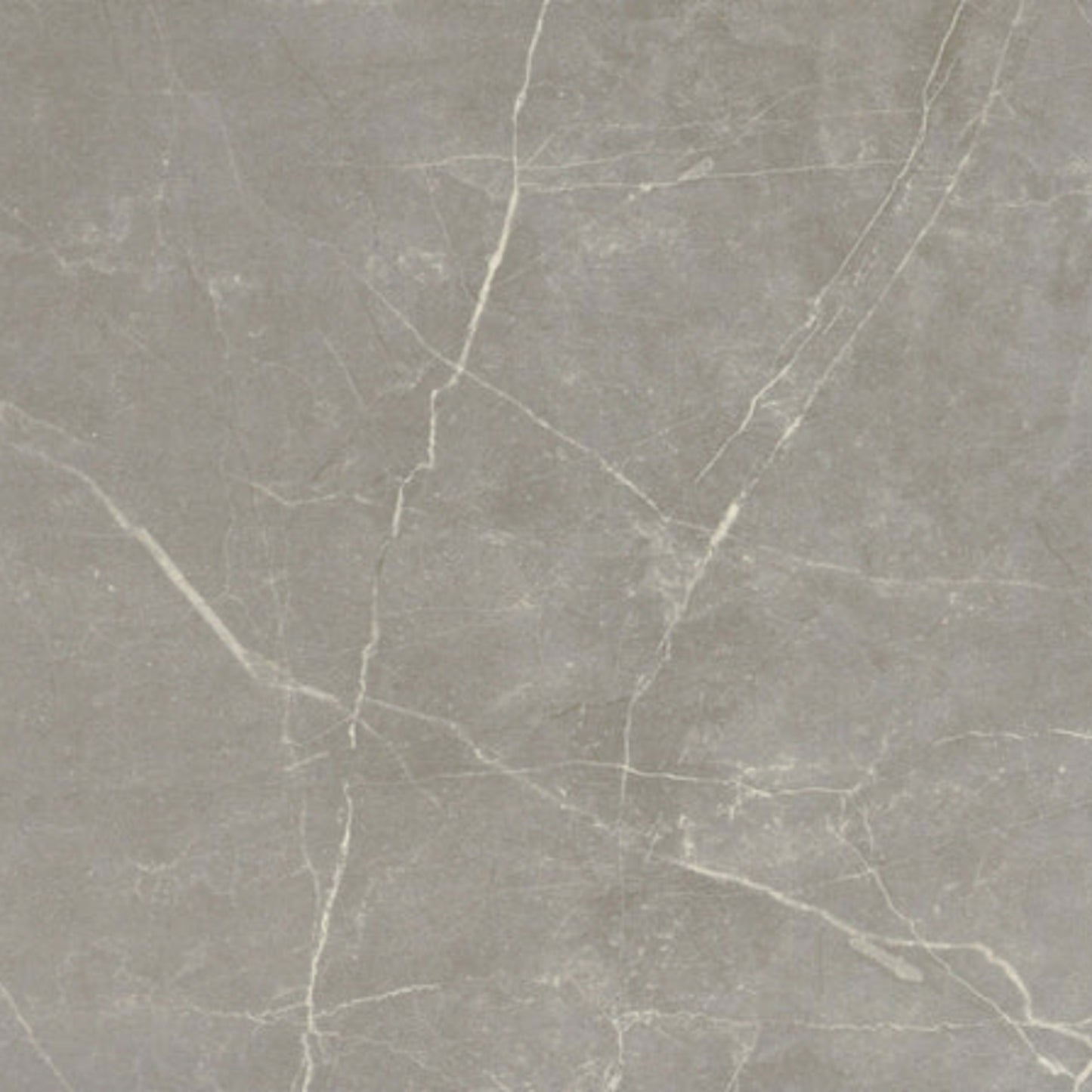 Sterlina II in Silver-24x47-Polished