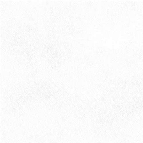 Citizen in Elector - 24x24 Matte