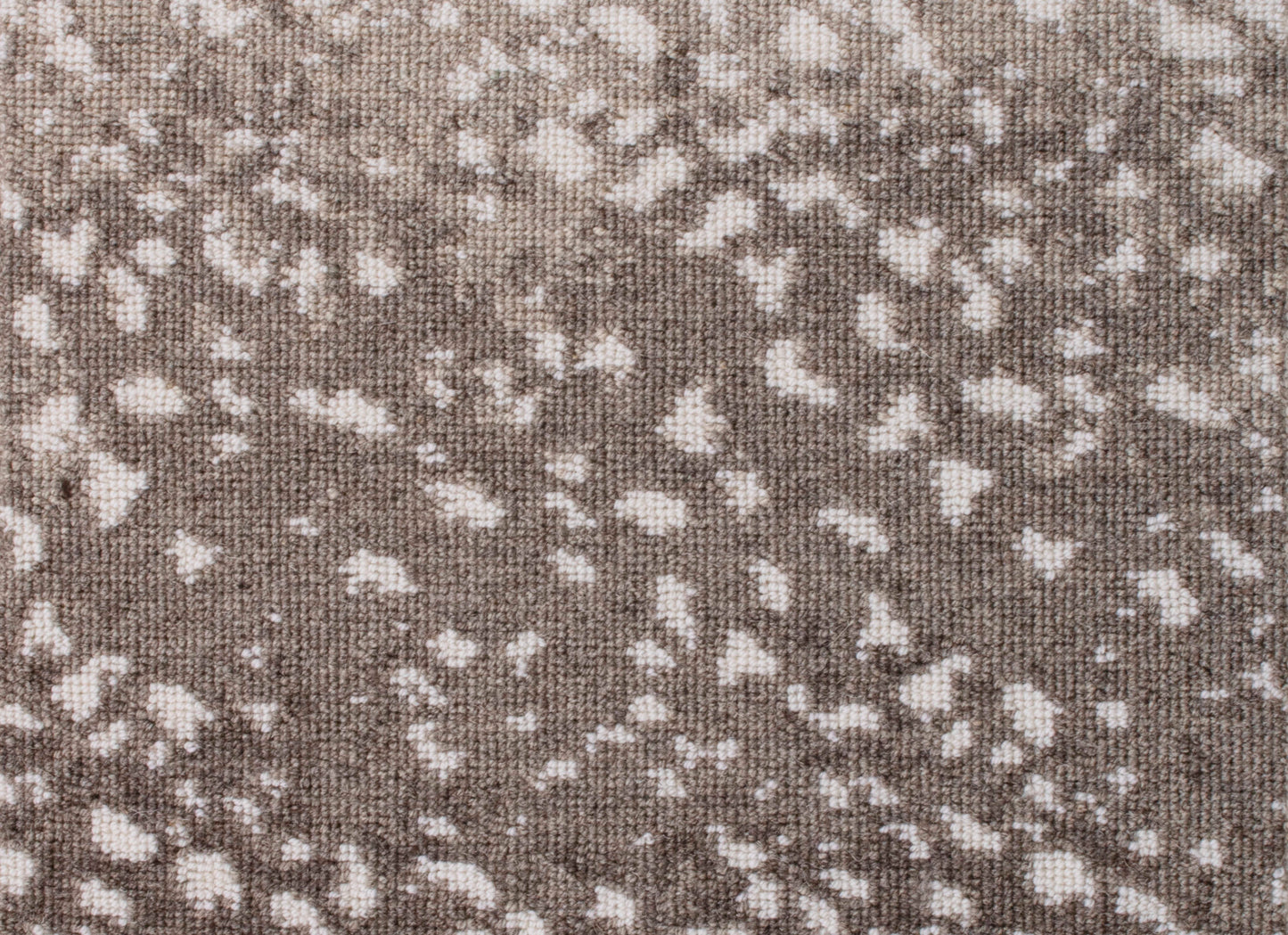 Wild n Wooly - Leopard